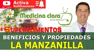 Manzanilla beneficios y propiedades de las infusiones de manzanilla  Medicina Clara [upl. by Ennadroj96]