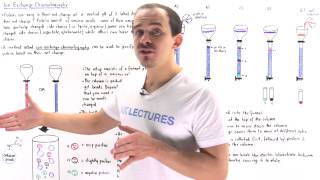 Ion Exchange Chromatography [upl. by Ileak414]