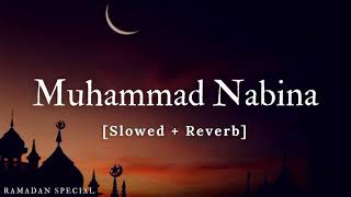 Muhammad nabina  SLOWED REVERB deenmylife08 [upl. by Ellenor]