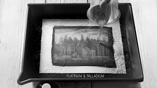 How I make Platinum Palladium Photo Prints [upl. by Onabru]