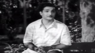 Missamma Movie  Avunante Kaadanile Video Song  NTR ANR SVR Savitri Jamuna [upl. by Nwahc487]