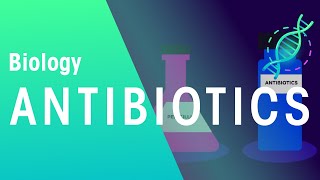 Antibiotics  Health  Biology  FuseSchool [upl. by Thistle28]