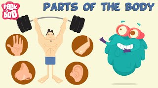 Parts Of The Body  The Dr Binocs Show  Learn Videos For Kids [upl. by Ayomat]