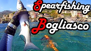 Spearfishing  Italy  Liguria  Bogliasco [upl. by Natiha]