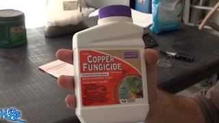 ⟹ Copper fungicide  Bonide  Product overview [upl. by Knowlton862]