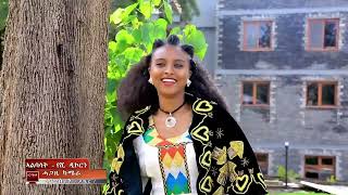 Temesgen teklay fseha weselam New tigrigna Music 2023 Official Videoተመስገን ተኽላይ ፍስሃ ወሰላም 2023 [upl. by Nlocnil]