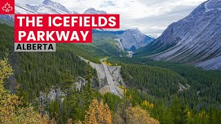 Driving the ICEFIELDS PARKWAY from Lake Louise to Jasper Alberta [upl. by Damal]