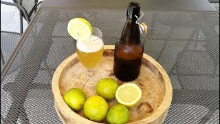 Homemade Craft LEMON BEER recipe [upl. by Esilahc688]