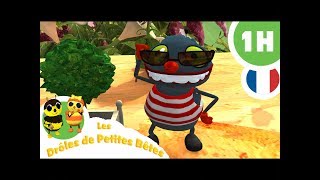 DRÔLES DE PETITES BÊTES  1 Heure  Compilation 04 [upl. by Nhar]