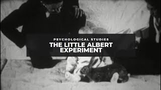 The Little Albert Experiment [upl. by Emalee149]