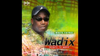 White Fayrie  Tribute To Wadix dhommage Wadix Cadence  Lypso [upl. by Nyrrat]