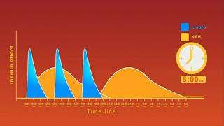 Insulin Regimens animation [upl. by Timothea]