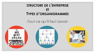 STRUCTURE ET ORGANIGRAMME DE LENTREPRISE tout ce quil faut savoir [upl. by Aiyt233]