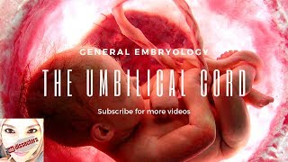 Medical embryology  The umbilical cord [upl. by Atsirhc]