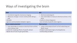 AQA ALevel Psychology  Paper 2 Biopsychology [upl. by Nydia302]