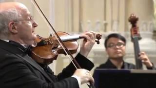 Antonio Vivaldi – Violin Concerto in gminor RV 317 [upl. by Nagrom243]