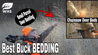 Top 5 Ways To Create Deer Bedding On Small Parcels [upl. by Woodring310]