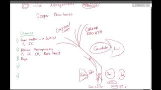 3 Lacunar Strokes [upl. by Barna]