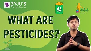 Pesticides  Uses Disadvantages and Advantages [upl. by Efioa]