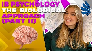 IB Psychology Revision The Biological Approach Part 2 [upl. by Ryley]