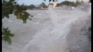 Shocking Footage of the 2011 Tsunami Hitting Hawaii [upl. by Shult]