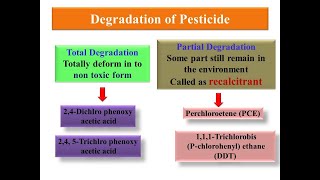 Principle of Biodegradation of PesticideXenobiotics [upl. by Susanna926]