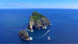 Our Favourite Sailing Destinations in New Zealand Ep 77 [upl. by Aia]