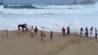 Unexpected Wave Compilation  People Getting Hit By Waves [upl. by Eikkin368]