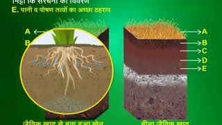 Geogreen Tata RALLIS Soil Conditioner [upl. by Gigi64]