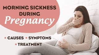 Morning Sickness During Pregnancy [upl. by Affrica617]