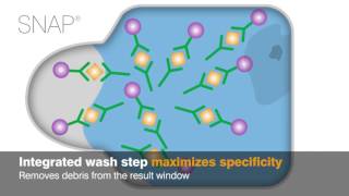 IDEXX SNAP Tests Technology in Action [upl. by Anairda43]