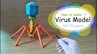 How to make Bacteriophage Virus 3d Model using Thermocol [upl. by Oidgime]