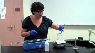 How to Perform an Endospore Stain [upl. by Sitrik333]