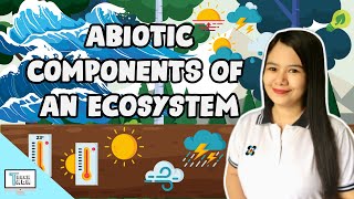 Abiotic Components of an Ecosystem  Biology [upl. by Kcirddehs]