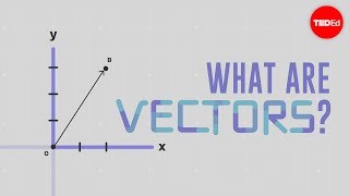 What is a vector  David Huynh [upl. by Rehpotsyrhc]