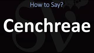 How to Pronounce Cenchreae CORRECTLY [upl. by Nyliuqcaj]