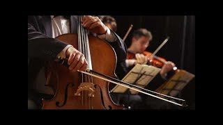 String Quartet  Classical Violin Cello and Viola Music 10 Hours Best Relaxing Music [upl. by Yedrahs522]