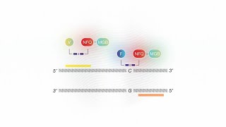 How it Works TaqMan SARSCoV2 Mutation Panel [upl. by Alain]