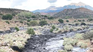 Sudden Flash Flood In Moab Desert [upl. by Macgregor126]