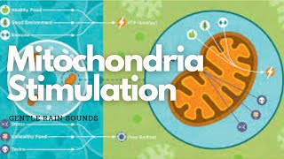 ❋ Mitochondrial Stimulation  Regeneration  Energy  Coenzyme Q10  Adult Stem Cells  Rain Sounds [upl. by Leira]