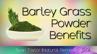 Barley Grass Powder Benefits and Uses [upl. by Teodorico]