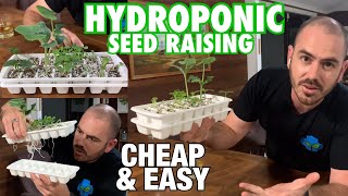 Cheap amp Easy DIY Hydroponic Seed Raising Technique [upl. by Noraa]