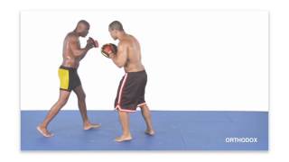 Anderson Silva Striking Combos For MMA With English Subtitles CD1 [upl. by Dettmer373]