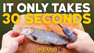 Our Favorite Way to Fillet a Trout 30 Seconds  Kyle Veit  Inland Outdoors trout fillet [upl. by Kay276]