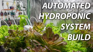 Build an Automated Hydroponic System [upl. by Lenoil]