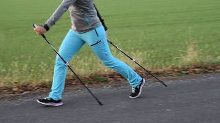 Nordic Walking  Die richtige Technik [upl. by Marlena624]