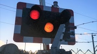 Manor Way Level Crossing London [upl. by Zerk687]