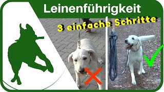 LEINENFÜHRIGKEIT dem Hund in 3 SCHRITTEN das Leine ziehen abgewöhnen  ganz einfach [upl. by Balac]