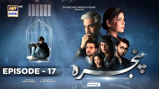 Pinjra Episode 17  Presented by Sensodyne  19th January 2023 Subtitles English  ARY Digital [upl. by Annwahsal]