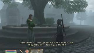 Oblivion NPC dialogue is the greatest dialogue [upl. by Zeke233]